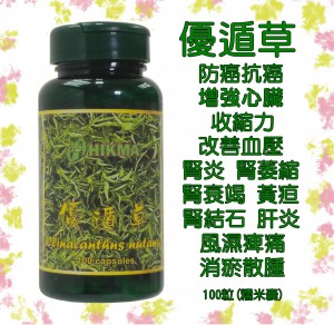 優遁草