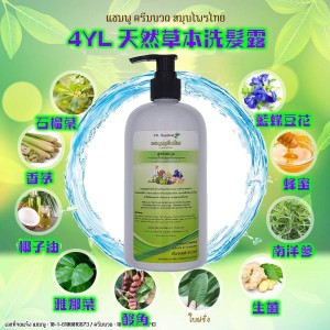 4YL 天然草本油性洗髮露 500ml
